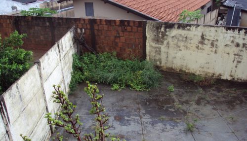 “A LENDA DO HOMEM CROCODILO”