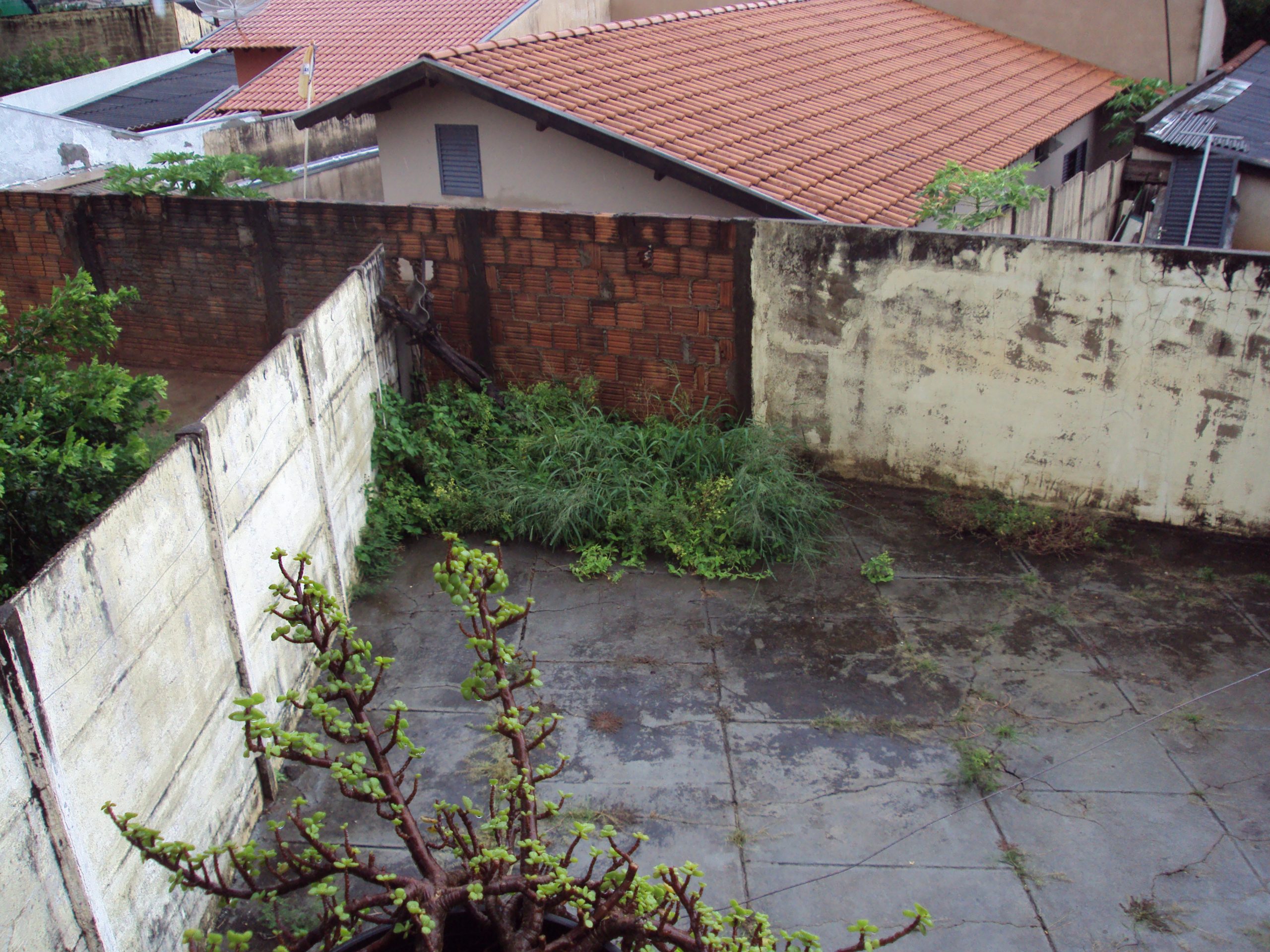 “A LENDA DO HOMEM CROCODILO”