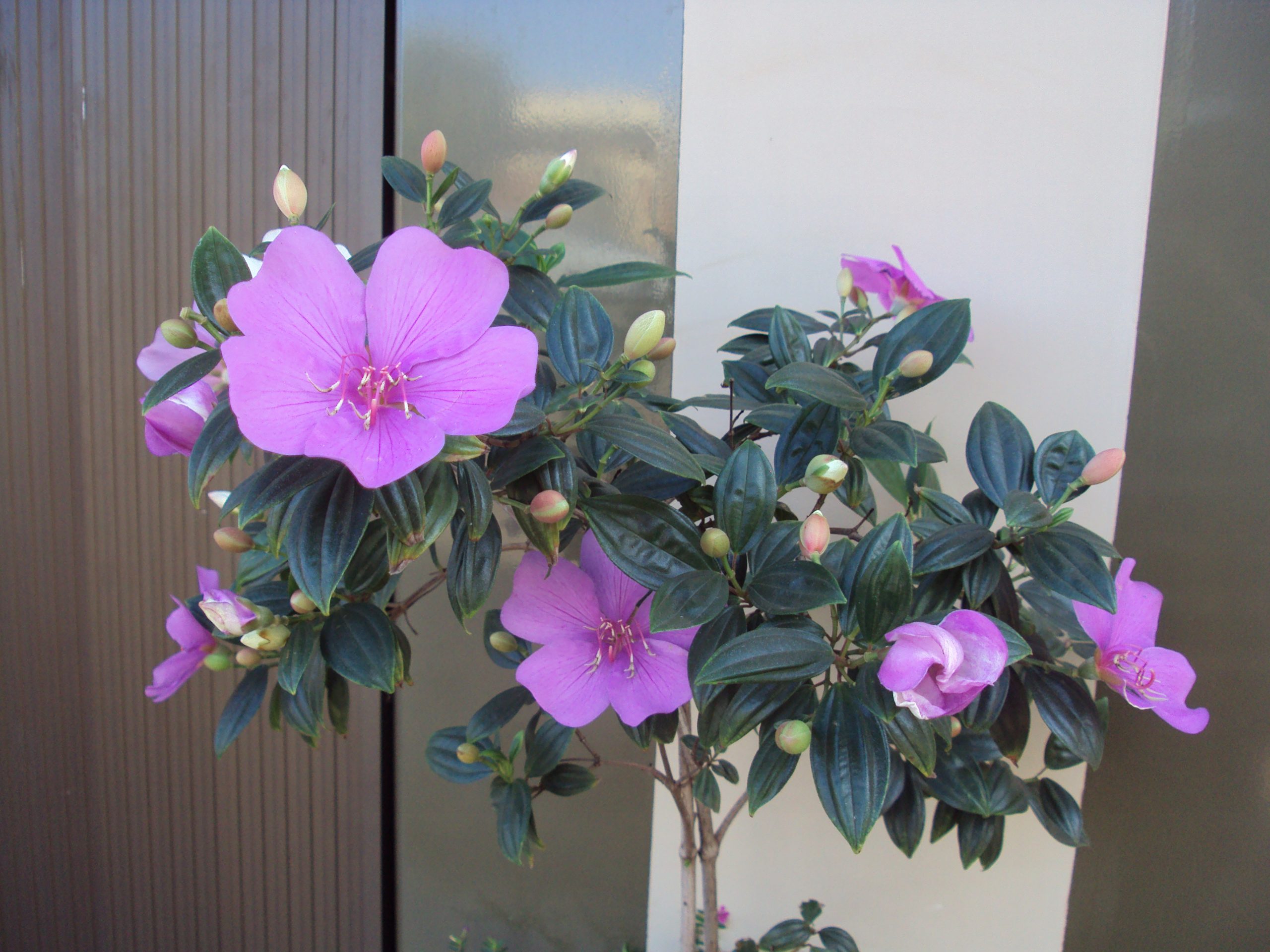 Apenas uma MULHER pra fazer a diferença...