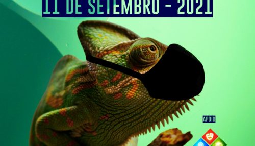 Coletivo Camaleão promove feira de artes, diversidades e gastronomia no sábado (11)