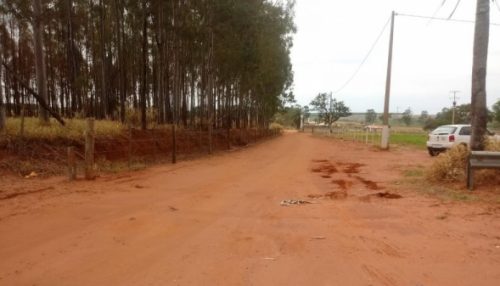 Após decisão judicial, Eixo SP remove defensas metálicas que bloqueavam estrada rural em Parapuã