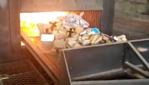 Polícia Civil de Adamantina incinera mais de 200 quilos de drogas