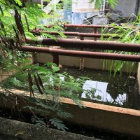 Img7311jpg163087530561352ea921302