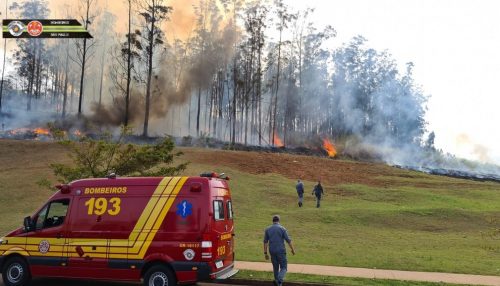 Avião cai em área de mata e sete pessoas morrem em Piracicaba; sócio da Raízen e família estão entre as vítimas
