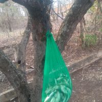 Whatsapp Image 20210910 At 214746jpg1631365554613ca9b2290d7