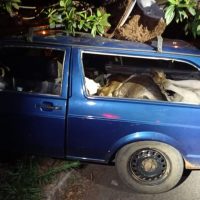 24576955347797876720417996868859256091076941njpg1634408350616b179e488f6