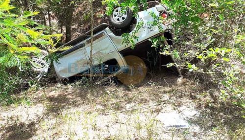 Veículo capota na SP-294 e condutor é atacado por abelhas
