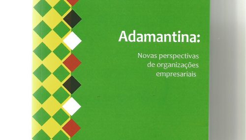 ADAMANTINA: NOVAS PERSPECTIVAS DE ORGANIZAÇÕES EMPRESARIAIS.