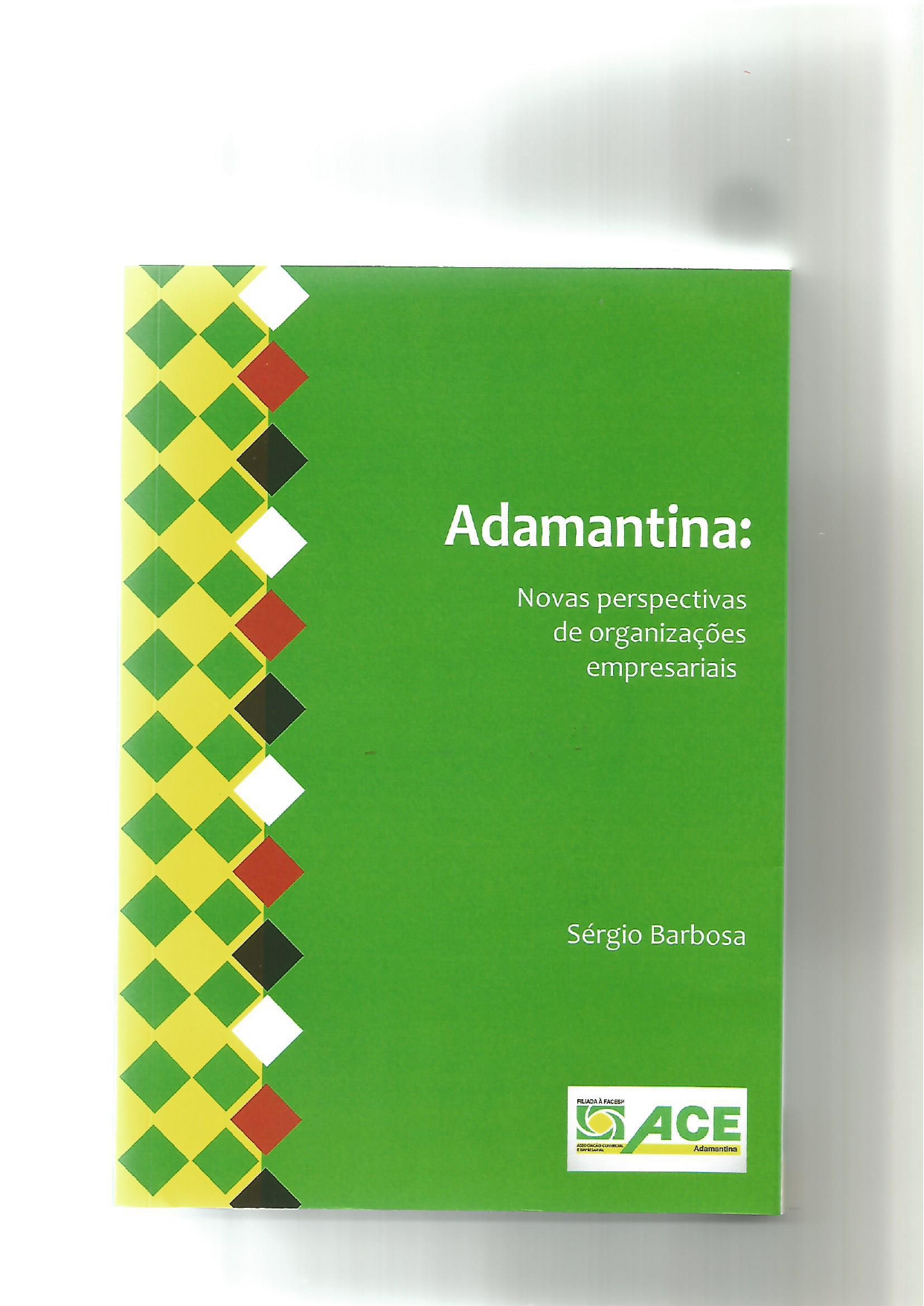 ADAMANTINA: NOVAS PERSPECTIVAS DE ORGANIZAÇÕES EMPRESARIAIS.