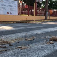 A11jpg16349909056173fb394edad