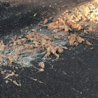 A3jpg16349908526173fb046e6d6