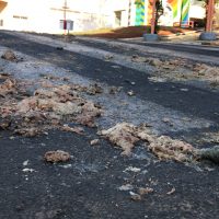 A5jpg16349908646173fb10b4d59