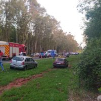 Acid6jpg1634596224616df5808bf4e