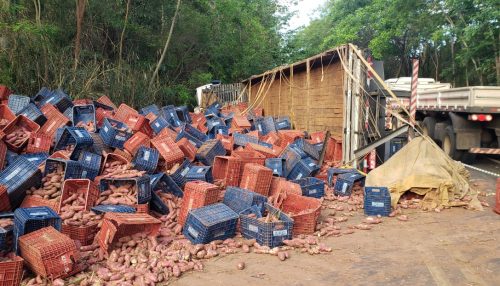 Caminhão tomba, espalha carga de batata e interdita rodovia