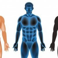 Corpo Humano_1308 36818