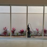 F224932b 5c35 4321 99fd 62509e50df0f