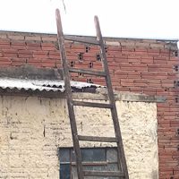 Florida Quedadiegofernandessilva01