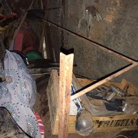 Florida Quedadiegofernandessilva06