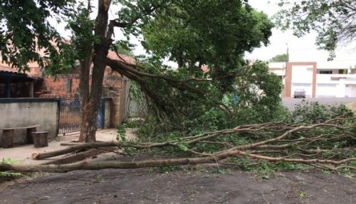Prefeitura de Adamantina atende diversas ocorrências causadas pelo vento e chuva durante o final de semana