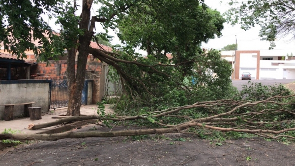 Prefeitura de Adamantina atende diversas ocorrências causadas pelo vento e chuva durante o final de semana