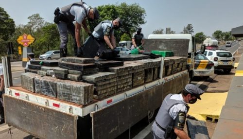 PM Rodoviária descobre carregamento com mais de 4 toneladas de maconha na SP-425
