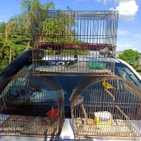 Whatsapp Image 20211029 At 211815jpg1635590551617d21977017a