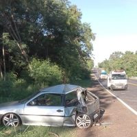 258777061 441683550950768 2313850840787224125 N