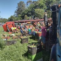 259401527 997058587540248 588788660302754959 N 1 