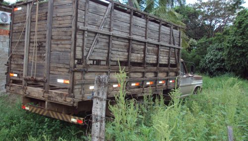 “ERA UMA VEZ” UMA PROVÍNCIA DO FAZ DE CONTA...