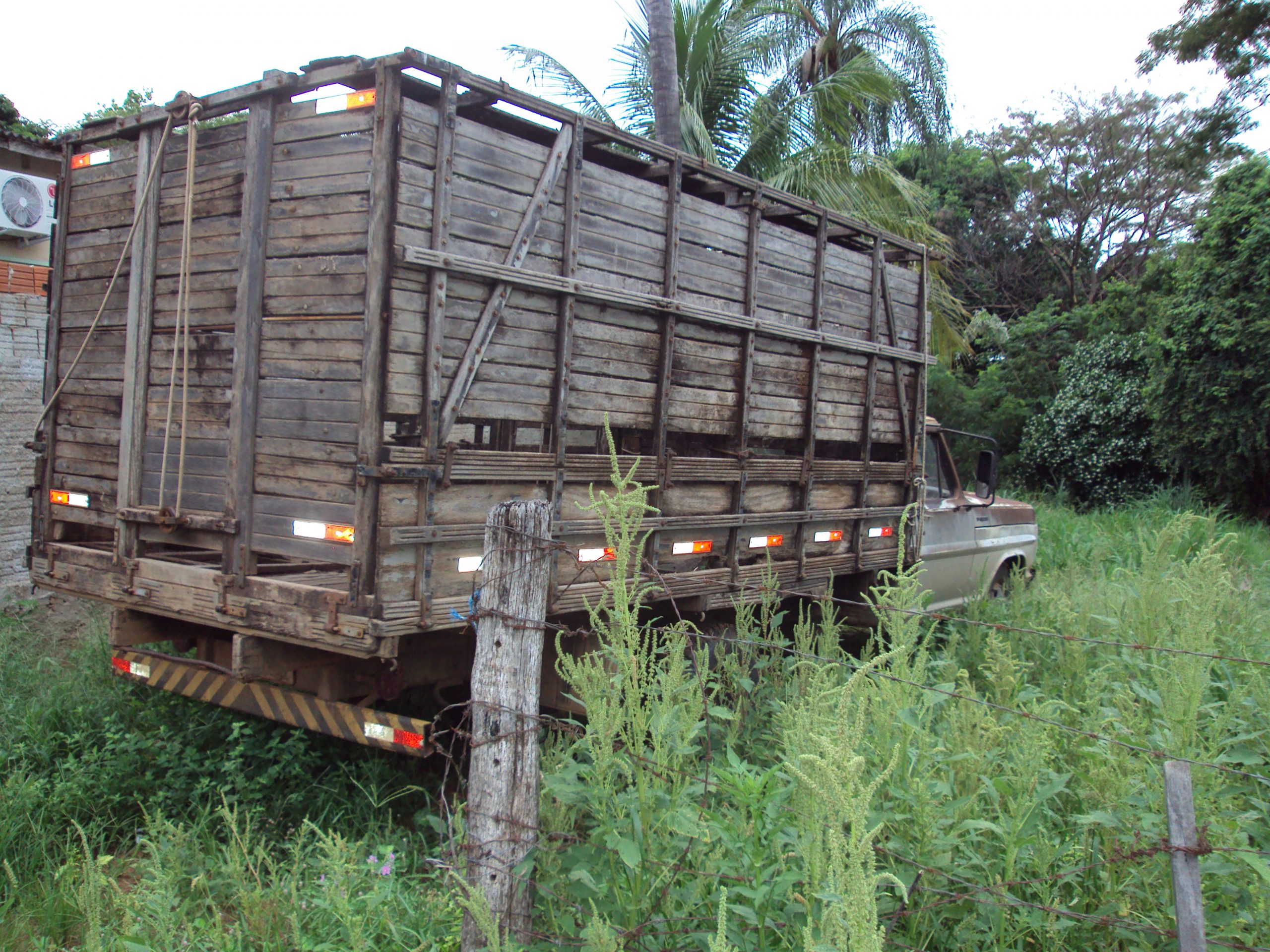 “ERA UMA VEZ” UMA PROVÍNCIA DO FAZ DE CONTA...