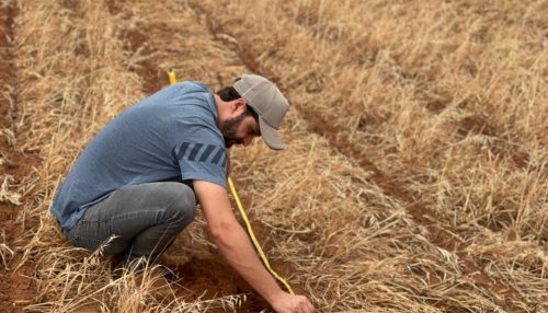 ESTAGIÁRIOS DE AGRONOMIA CONTRATADOS PELA COOPERMOTA