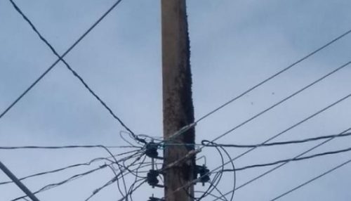 Em Dracena, quatro pessoas da mesma família são atacadas por enxame de abelhas