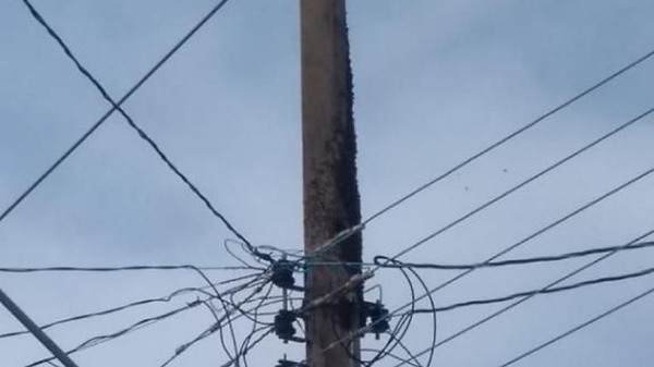 Em Dracena, quatro pessoas da mesma família são atacadas por enxame de abelhas