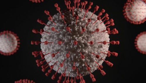 Anvisa confirma nova variante do Covid-19( Ômicron),em São Paulo