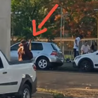 Parquepng1637861301619fc7b539a16