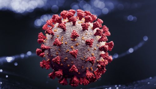 Pesquisadores identificam novo anticorpo capaz de neutralizar o coronavírus