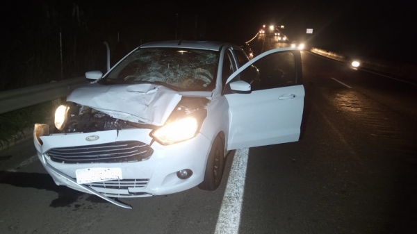 Mulher de 38 anos morre atropelada em rodovia da região