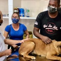 18867155417923743542670254545565192846801205nrjpg162145570660a5735a168e6jpg163891289561afd37f57b6d