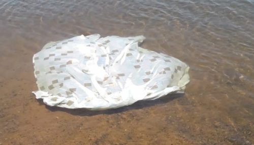 Corpo de homem é encontrado no Rio Paraná, em Panorama