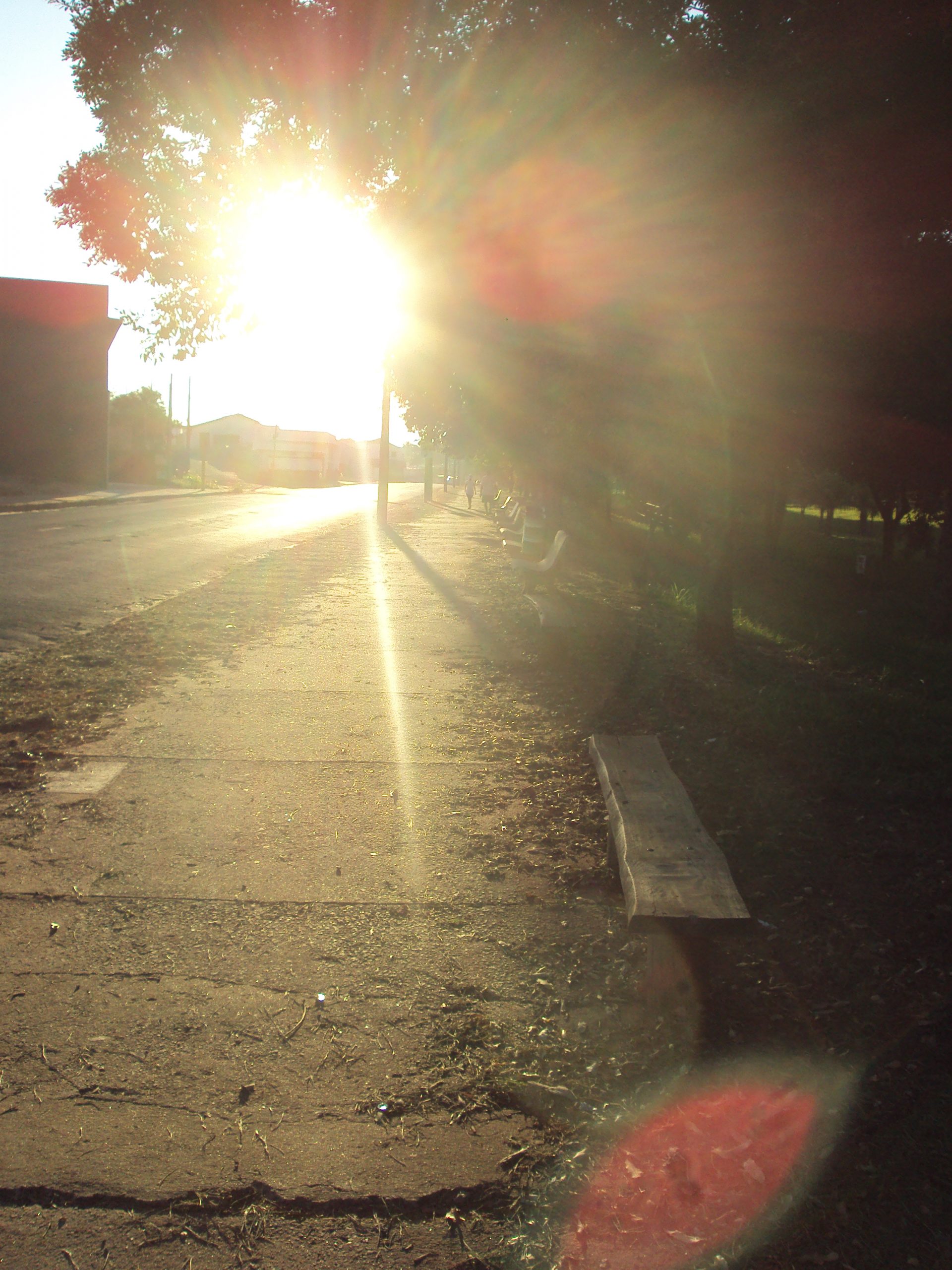 “Il dubbio di Narciso” (*): Do início para o meio, ainda, com Narciso contra Narciso, porém, sem o fim...