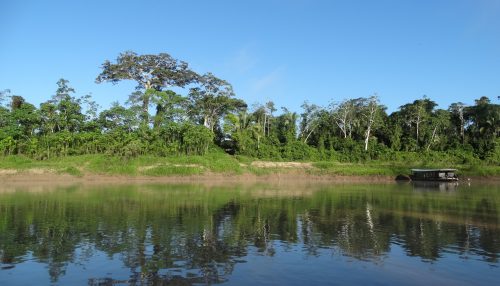 Sicredi neutraliza Emissões de Gases de Efeito Estufa