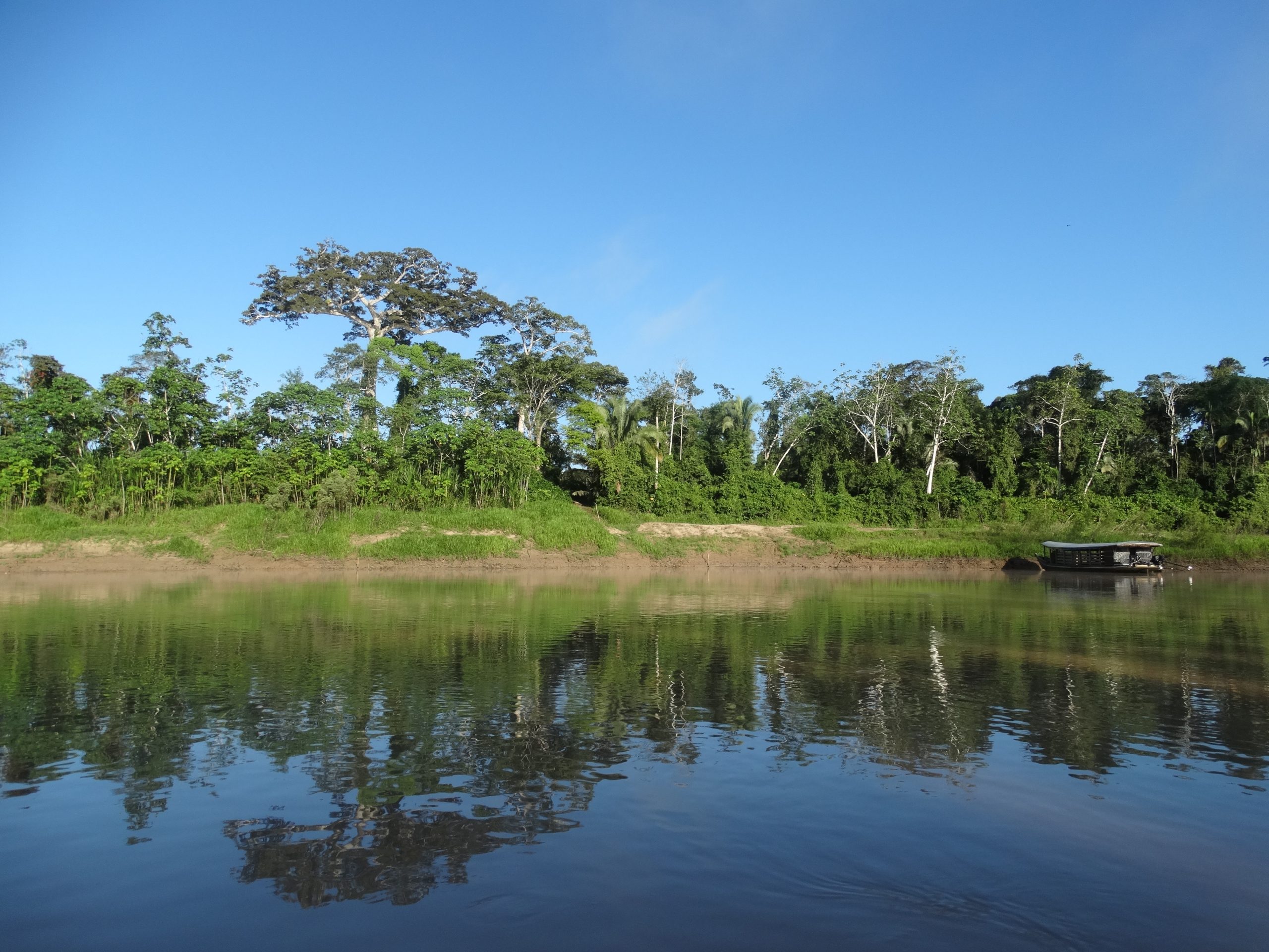 Sicredi neutraliza Emissões de Gases de Efeito Estufa