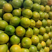 WhatsApp Image 2021 12 05 At 10.07.42 (3)