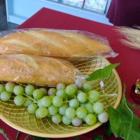 WhatsApp Image 2021 12 07 At 11.09.14 (2)