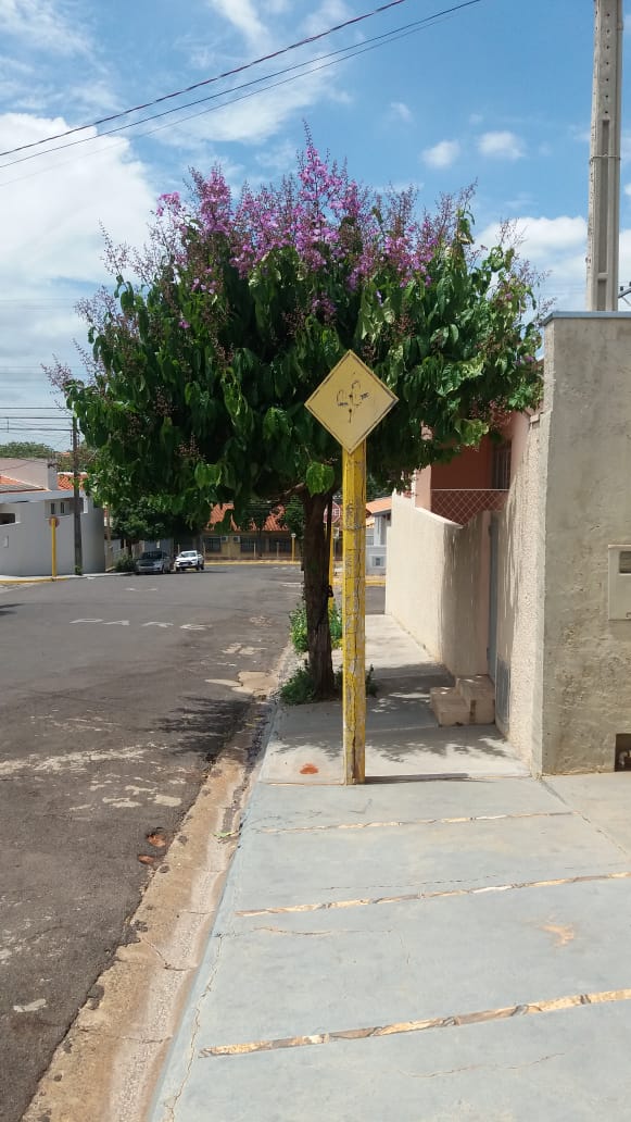 Acima de tudo e de todos/as...