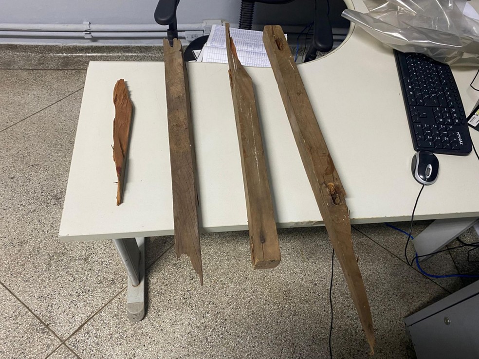 Homem é preso após matar e desfigurar rosto de mulher com pedaço de madeira