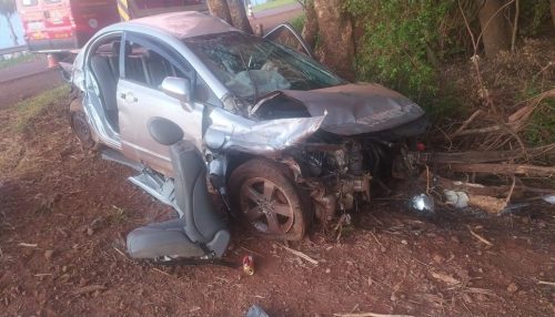 Colisão de carro contra defensa metálica e árvore mata rapaz de 20 anos na Rodovia Jorge Bassil Dower