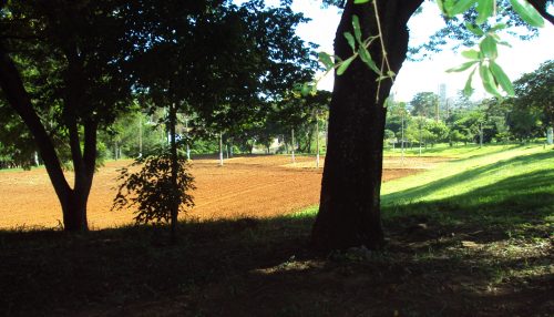 Tá tudo dominado pelas MENTES MEDÍOCRES...