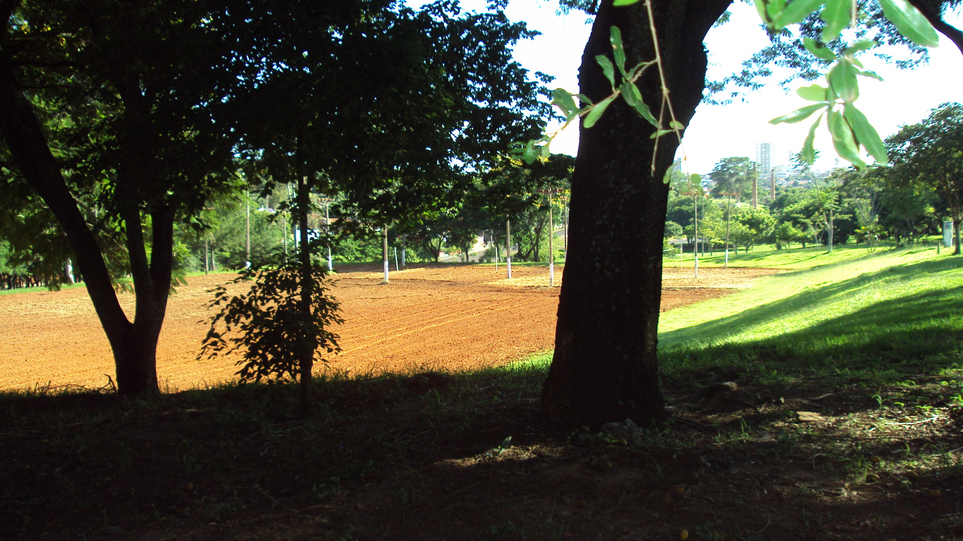 Tá tudo dominado pelas MENTES MEDÍOCRES...