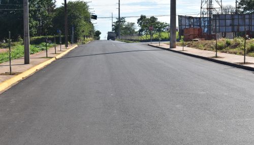 SAAMA executa implantação de mais um piloto de Floresta Urbana